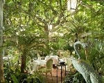 L'Oasis